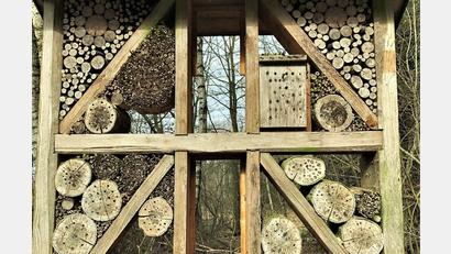 Bild: jml
Das 2004 erstellte Insektenhotel am östlichen Arm des Naturerlebniswegs Klingenbachtal wird fleißig zur Eiablage genutzt. Jetzt steht hier und auf der gesamten Wandertrasse eine Totalerneuerung an. Bis Ende Mai sind alle Arbeiten erledigt, hofft Bürgermeister List.