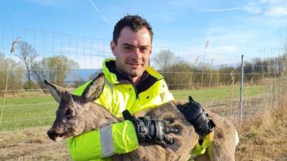 Bild: Verkehrspolizeiinspektion Freising/dpa
Ein Polizist hält ein Reh im Arm. Die Polizei hat auf der A92 ein Reh eingefangen und dazu die Autobahn in der Nähe von Freising gesperrt.