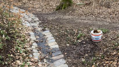 Bild: Polizeiinspektion Amberg
Öllache im angrenzenden Walgebiet an der Straße "Bergauffahrt" in Amberg .