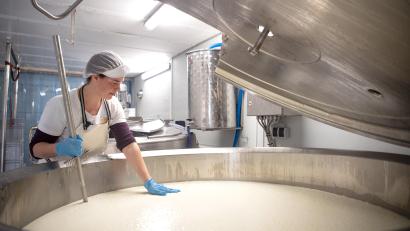 Bild: Sina Schuldt/dpa
Mit einer mobilen Käserei, die in einem umgebauten Lkw untergebracht ist, wollen Milchbauern künftig ihre Milch veredeln. In einigen Regionen gibt es solche Käsereien bereits, wie hier in Norddeutschland.