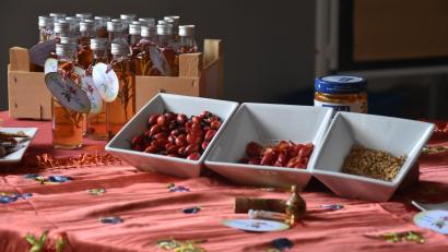 Bild: Umweltstation Waldsassen/exb
Praktische Prüfung zum Thema "Die Hundsrose". Die Teilnehmer schließen die Prüfung in drei Teilen ab: Ein selbst erstelltes Herbarium, die schriftliche Prüfung und ein praxisorientierter Kurzvortrag.