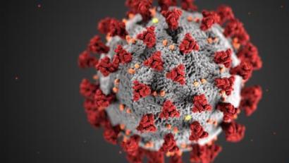 Bild: Centers for Disease Control and Prevention illustration
Die 7-Tage-Inzidenzen sinken weiter.