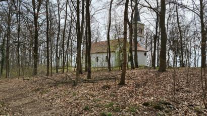 Bild: sne
Der Wald nördlich der Annabergkirche könnte Standort eines städtischen Urnenwaldfriedhofs werden. Nicht jeder ist überzeugt von der Notwendigkeit und des Standortes einer solchen Einrichtung.