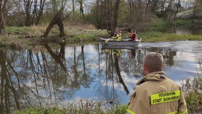 Bild: Feuerwehr Schwandorf
Einsatzkräfte der Feuerwehren Krondorf-Richt und Schwandorf bargen den toten Biber am Ostermontag von der Naab-Insel.