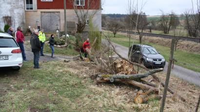 Bild: bjp
Aus den Überbleibseln einer vom Sturm gefällten Eiche will Konrad Dippel (Bildmitte, beim Ortstermin des Bauausschusses) ein Kleintierbiotop gestalten. Der Gemeinderat billigte dies und befürwortete eine Unterstützung durch die Gemeinde.