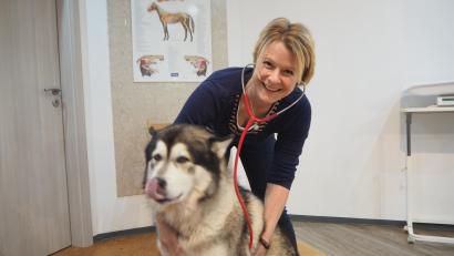 Bild: bl
Dem Alaskan Malamute "Lokum" werden die Hausbesuche bei den Pferden genauso fehlen wie seinem Frauchen, der Tierärztin Annemarie Kraus. Sie gibt ihre Praxis auf für einen Job als Veterinärin bei der Bundeswehr.