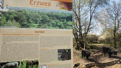 Bild: Wolfgang Steinbacher
Der Erzweg bei Auerbach.