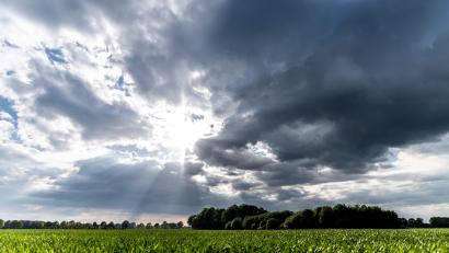 Symbolbild: Guido Kirchner/dpa
Für die Strahlen der Frühlingssonne ist dieser Tage in der Oberpfalz wenig Platz. Bis Mitte der nächsten Woche dominiert kühles, auch nasses Wetter.