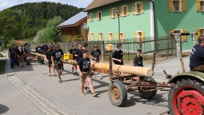 Bild: Kölbl/exb
In einem feierlichen Umzug durch das Dorf wird der Maibaum traditionell zu dem Platz gebracht, wo er aufgestellt werden soll, wie hier 2018.