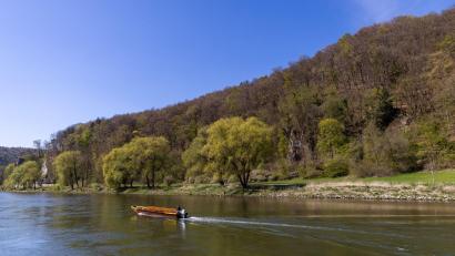 Symbolbild: Daniel Karmann/dpa
Ein Mann fährt mit einem Boot auf der Donau.