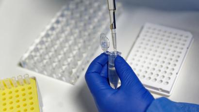 Symbolbild: Henning Kaiser/dpa
Eine Mitarbeiterin des Labors füllt mit einer Pipette, zur Vorbereitung von PCR-Tests, eine Testflüssigkeit ein.