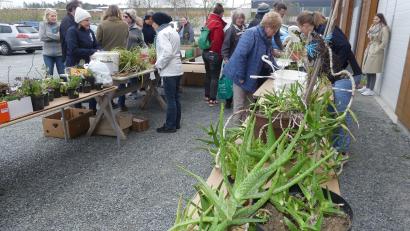 Bild: rn
Mit seiner traditionellen Pflanzenbörse spricht der Obst- und Gartenbauverein die Hobbygärtner an.
