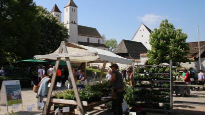 Bild: P. Bäumler/exb
Alles für den Garten gibt es beim Frühjahrsmarkt in Perschen.