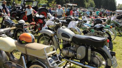 Bild: wel
Oldtimer soweit das Auge reicht. 450 Fahrzeuge waren beim letzten Oldtimer-Treffen in Gartenried ausgestellt