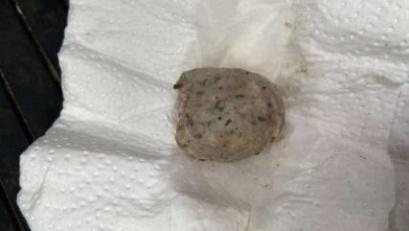 Bild: Feuerer, PI Regensburg Süd
Ein Hund hat in Burgweinting einen Giftköder gefressen. Polizeibeamte entdeckten eine Wurst mit Gift.