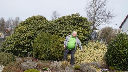 Bild: mmj
Die Pflege des Heldenhains im Friedhof ist Vorsitzenden Richard Scheiterer immer ein Anliegen.