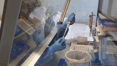 Bild: Bio-Variance/exb
Bio-Variance analysiert seit Ende Februar in einem Labor in ehemaligen Krankenhaus Waldsassen die PCR-Tests aus den beiden Testzentren in Tirschenreuth und Waldsassen.