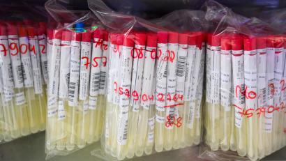 Bild: Julian Stratenschulte
PCR-Tests von Patienten liegen in einem Labor im Kühlschrank.