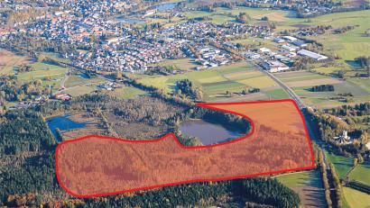 Luftbild: mür/Bearbeitung: Oberpfalz-Medien
Auf einem 35 Hektar großen Areal rund um den Engelmannsteich südlich von Tirschenreuth (rot eingefärbt, Linien grob skizziert) will die Ziegler-Group ein neues Betriebsgelände für Fertighäuser errichten. Das Moor (blaue Fläche am linken oberen Rand des beplanten Areals) und der vor 100 Jahren künstlich angelegte Teich (Bildmitte) werden ausgespart.
