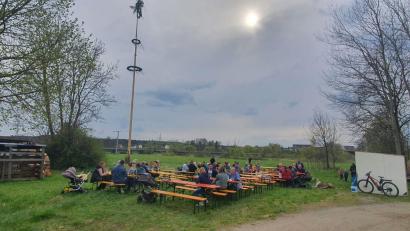 Bild: bey
Mit Hilfe eines Kranes stellte die Freiwillige Feuerwehr Oberwildenau ihren Maibaum auf.