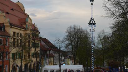 Bild: dob
Heuer gibt es erstmals wieder einen Maibaum, gleich neben dem Rathaus. Das Fest um den blau-weißen Frühlingsboten wurde bestens besucht.