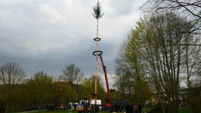 Bild: bey
Die Katholische Landjugend stellte einen zweiten Maibaum.