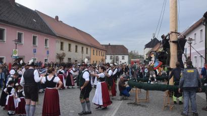 Bild: fz
Der Maibaum wird noch bestückt, da spielt die Stadtkapelle bereits und die Trachtler tanzen.
