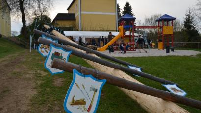 Bild: dob
Die Zunftzeichen sind bereits angebracht. Jetzt braucht der 25 Meter hohe Baum nur von starken Männern aufgerichtet werden.