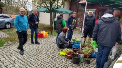Bild: André Dietrich/exb
Gemütliche Staudensichtung.