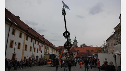 Bild: kro
Immer wieder ein imposantes Bild bietet das Maibaumaufstellen in der Klosterstadt.