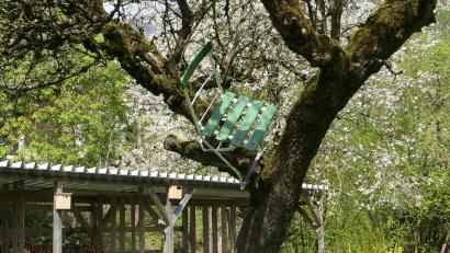 Bild: ils
Einen grünen Stuhl hoben Walperer in Obersdorf in einem Apfelbaum.