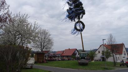 Bild: ak
Der Maibaum in Kulmain.
