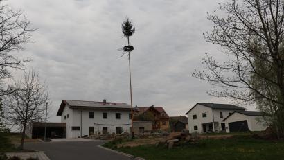 Bild: rpp
Maibaum Senkendorf.