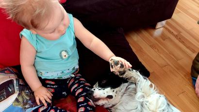 Bild: Klinikum/Borchers/exb
Therapiehund Annie spielt mit dem kleinen Leon. Der Bub ist drei Jahre alt.