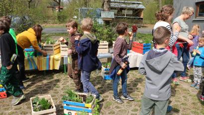 Bild: gru
Ein geschäftiges Treiben herrscht bei der Pflanzaktion des Gartenbauvereins Edelsfeld.