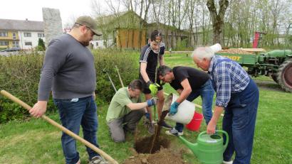 Bild: adj
Fünf Obstbäume wurden im Ortsteil Püllersreuth gepflanzt