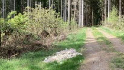 Bild: Polizei Vohenstrauß/exb
In einem Waldstück bei Waldthurn haben Unbekannte unbefugterweise Bauschutt abgeladen.