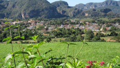 Bild: Bernd Kubisch/dpa
Das Viñales-Tal im Westen Kubas ist Nationalpark und Unesco-Welterbe.