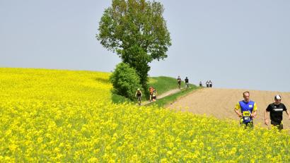 Archivbild: Hubert Ziegler
Beim Landkreislauf 2018 entstand dieses Foto. An diesem Wochenende gibt es neue, "das" Amberger Lauf-Event startet am Samstag nach zweijähriger Corona-Pause wieder neu durch.