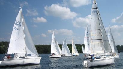 Bild: Hirsch
Die Tourismusregion "Oberpfälzer Wald" wirbt mit ihrer "Wald- und Wasserwelt" und gibt sich ein neues Markenbild.