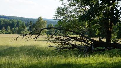 Bild: eib
Das 12 500 Kilometer lange Grüne Band – hier eine Aufnahme bei Pleš (Plöß) – soll Welterbe werden. Der Weg dorthin ist aber noch weit.