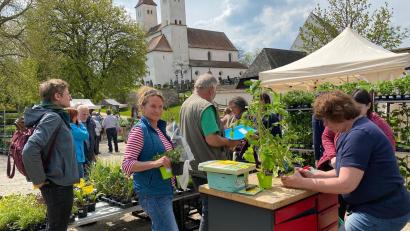 Bild: Völkl
Im Museumshof und auf dem Vorplatz deckten sich die Besucher mit Pflanzen, Deko für den Garten und landwirtschaftlichen Produkten ein.