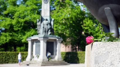 Symbolbild: Soeren Stache
Eine Blume für die Gefallenen.