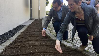 Bild: upl
Bald wird hier angerichtet sein: Thomas Hammerl und Bettina Kraus vom Freilandmuseum Oberpfalz säen Blumen für ein "Bienen-Buffet" an.