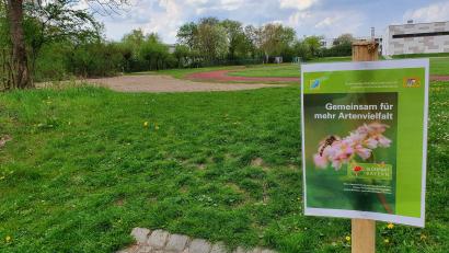 Bild: mic
Im Moment ist noch nicht viel zu erkennen von der geplanten Blühfläche beim Sportplatz in der Nähe der Realschule. Doch schon im Sommer sollen hier Wildkräuter sprießen.