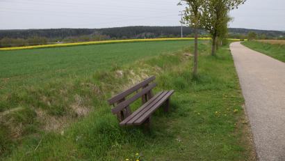 Bild: bö
Zwischen der alten Kreisstraße AS 23 (Bild) und der neuen Zufahrt nach Ebermannsdorf ist hart an der Gemeindegrenze, ab er auf Kümmersbrucker Gebiet, eine größere Freiflächen-Photovoltaikanlage geplant. Die Ebermannsdorfer Gemeinderäte sind in ihrer Mehrzahl von diesem Vorhaben nicht begeistert.