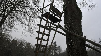 Symbolbild: Gabi Schönberger
Viel Zeit müssen Jäger auf dem Hochsitz verbringen, um Wild zu schießen – das ist auch für den Erhalt des Waldes wichtig.