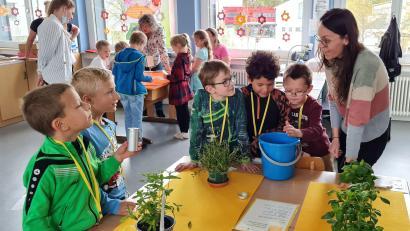 Bild: khg
Mit dem Riechen an verschiedenen Kräutern (vorn) verbinden die Erstklässler der Grundschule Vilseck unter Anleitung von Annalena Nützel bestimmte Lebensmittel und Gerichte. Sie erleben, wie sich die Intensität von Gerüchen durch Zerkleinern oder Trocknen verändert. An der von Lehrerin Jutta Forster betreuten Station zum Sehen (hinten link) erfahren die Schüler, welchen Einfluss die Augen auf den Geschmackssinn haben.