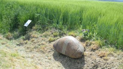 Bild: Andreas Brückmann
So sieht der Kreuzband-Stein aus.