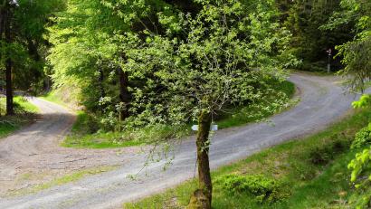 Bild: bkr
Bei den Bauabschnitten 2 und 3 ist die Zufahrt nach Poppenberg und Herzogshut über Forstwege vorgesehen. Für größere Fahrzeuge stellt diese Spitzkehre ein Hindernis dar und muss ausgeweitet werden. Stellvertretender Forstbetriebsleiter Martin Hertel vom Forstbetrieb Fichtelberg hat nach einer Ortsbegehung am Freitag betont, dass man eine Lösung gefunden habe, die auch den weiteren Weg Richtung Poppenberg betrifft